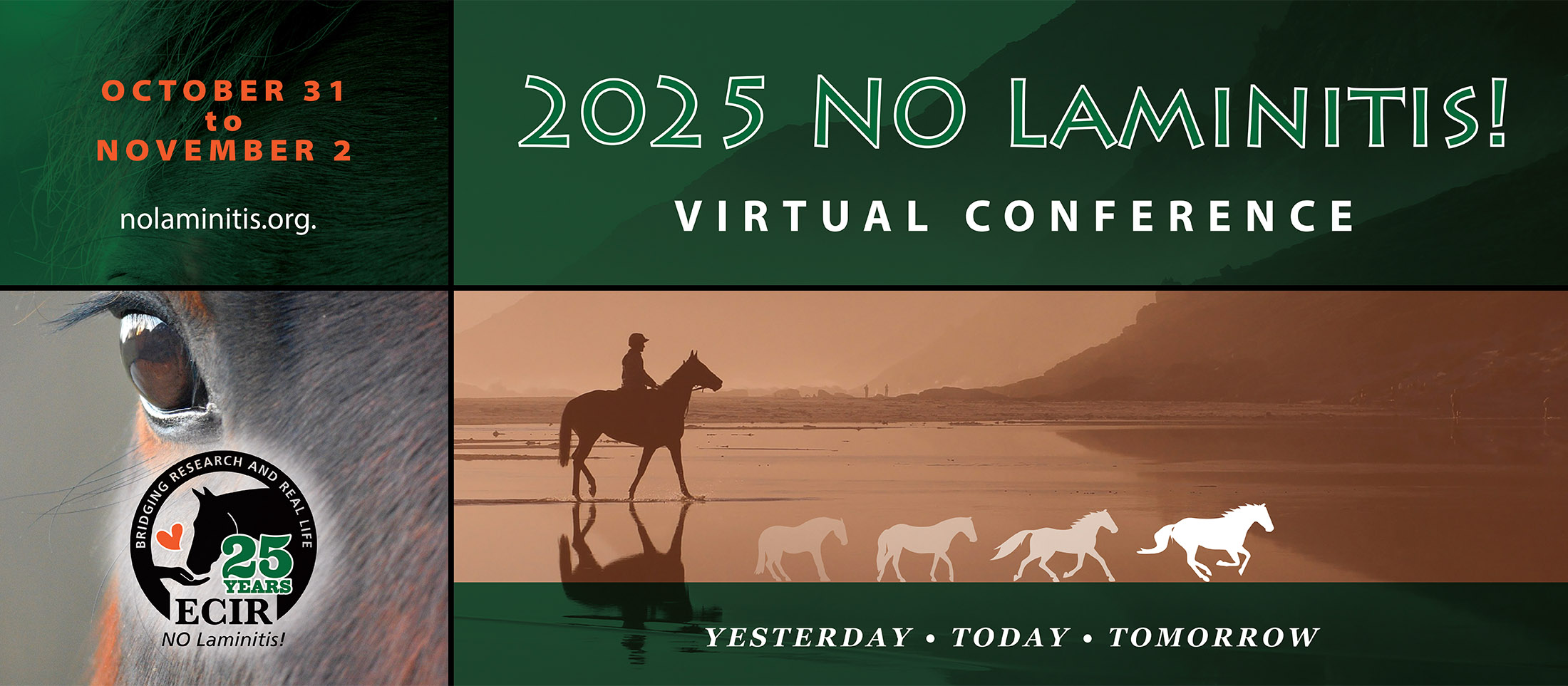 2025 No Laminitis Conference